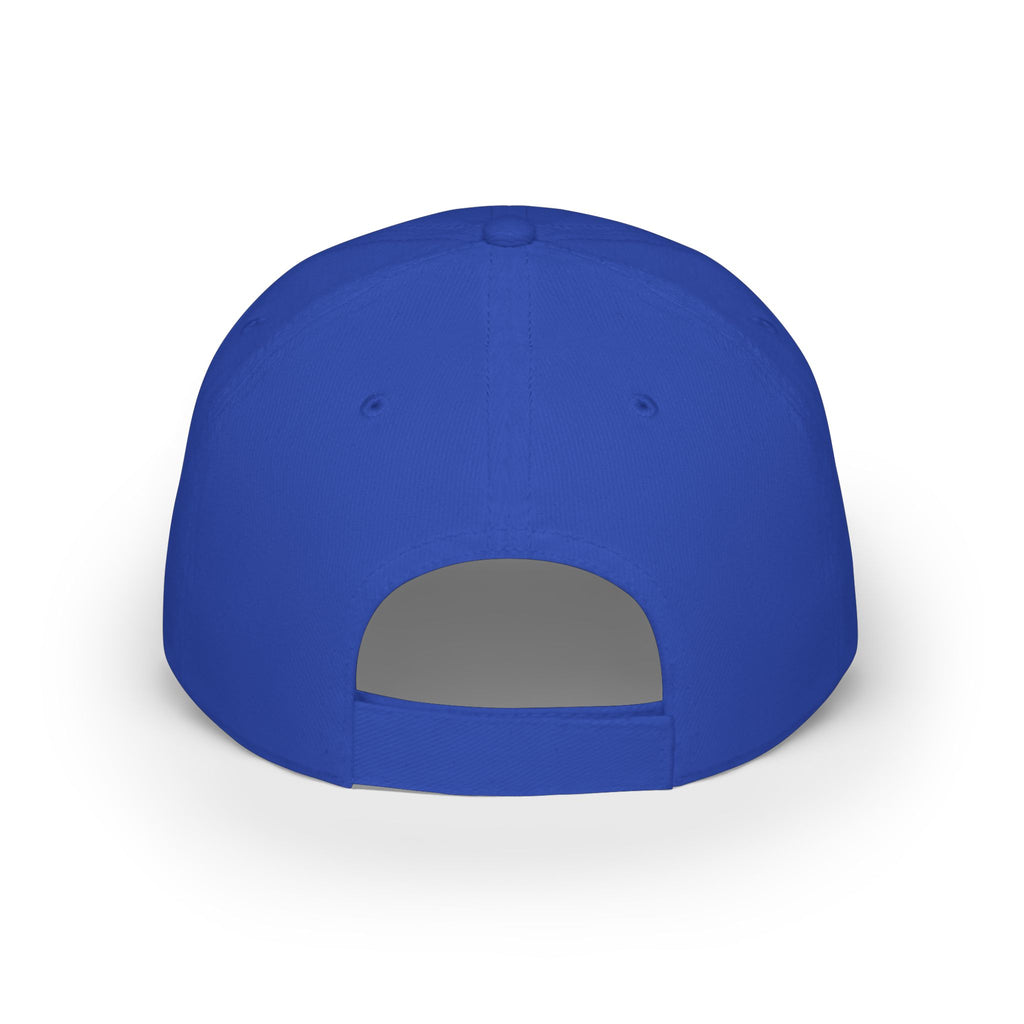Pro Home Low Profile Baseball Cap