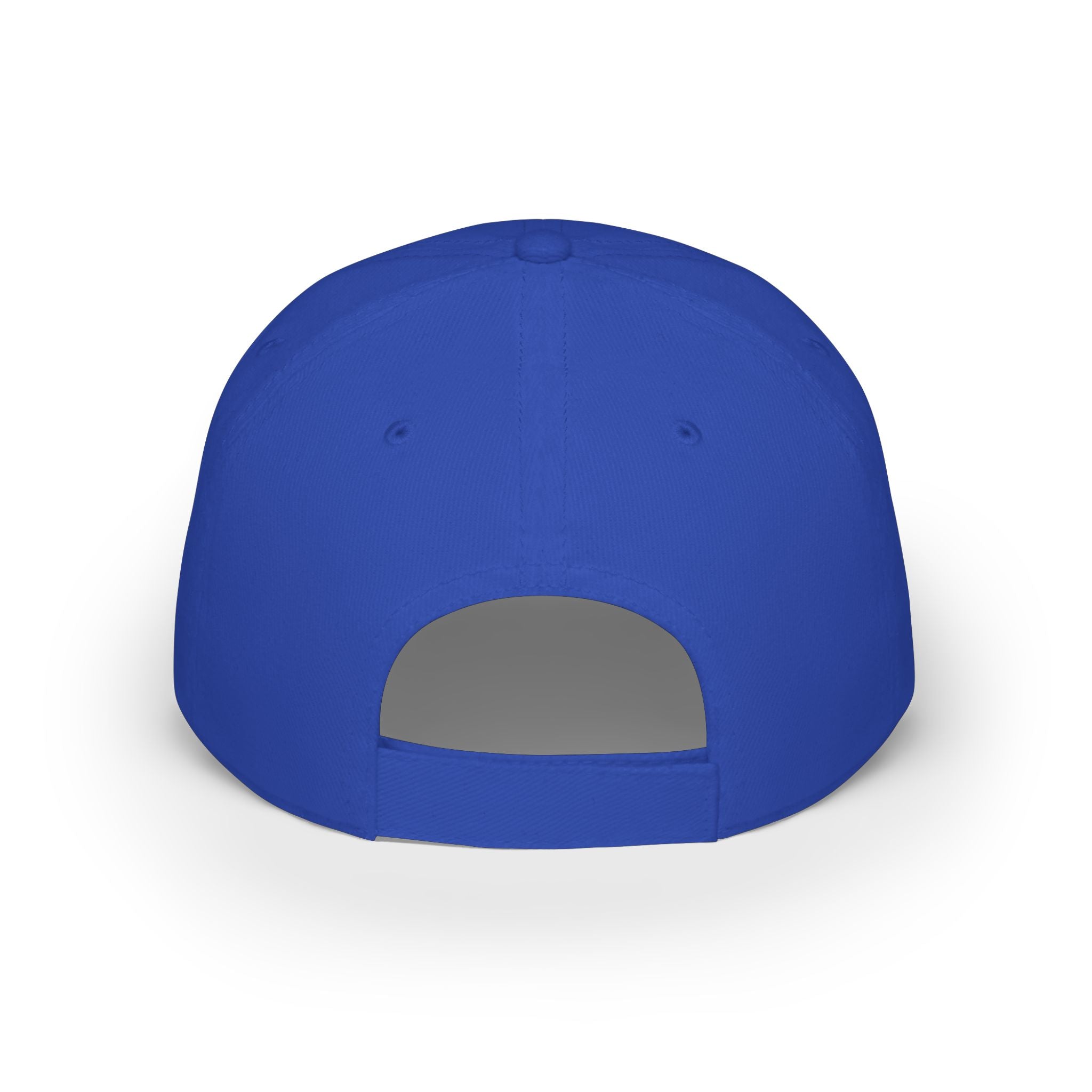 Pro Home Low Profile Baseball Cap